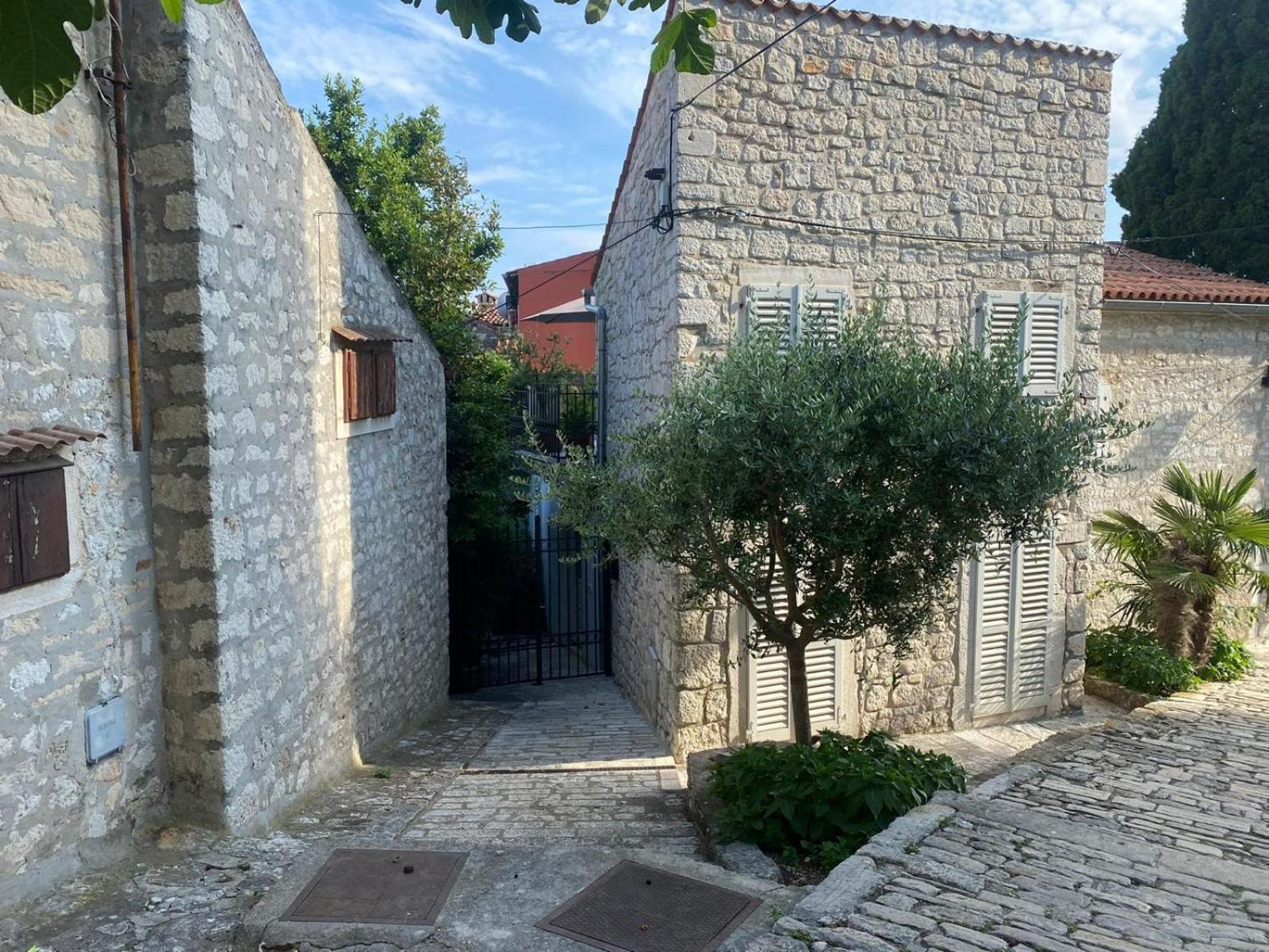 Seaview House Rosali Villa Rovinj Eksteriør billede